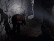 extant_StarTrek_VOY_6x21-LiveFastAndProsper_03492.jpg