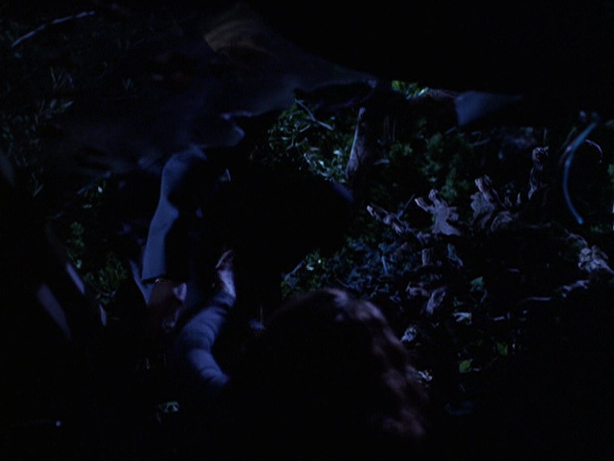 extant_StarTrek_VOY_6x22-Muse_02703.jpg