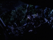 extant_StarTrek_VOY_6x22-Muse_02692.jpg