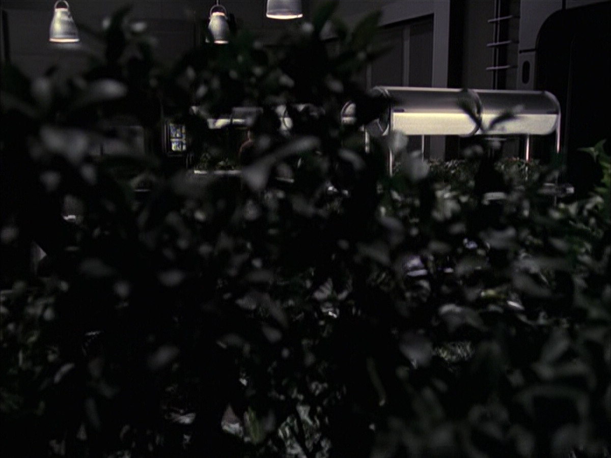extant_StarTrek_VOY_6x23-Fury_00763.jpg