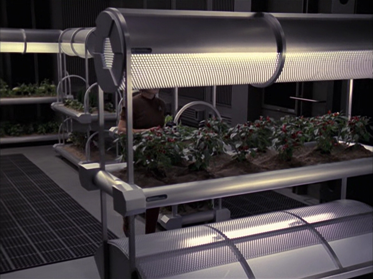 extant_StarTrek_VOY_6x23-Fury_00775.jpg