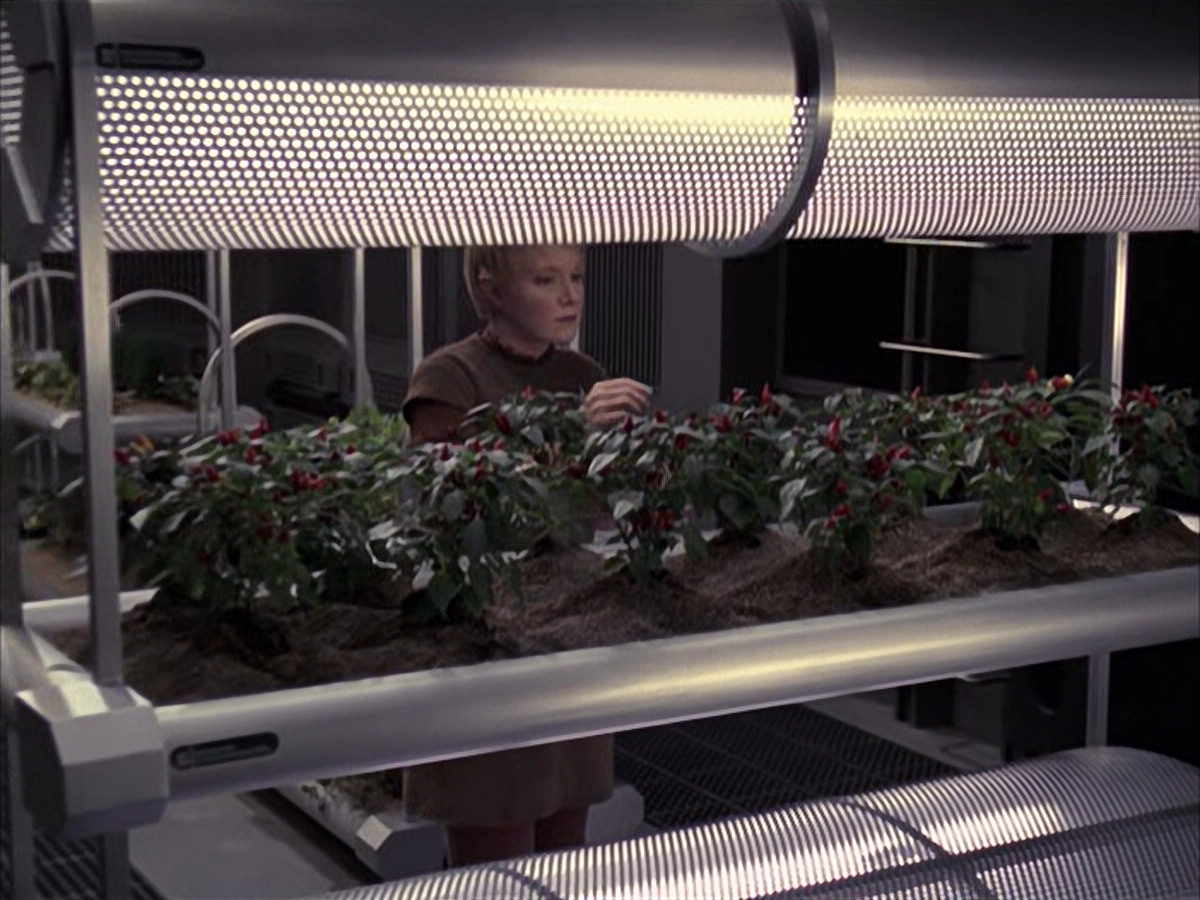 extant_StarTrek_VOY_6x23-Fury_00777.jpg