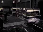 Filename=extant_StarTrek_VOY_6x23-Fury_00766.jpg
Filesize=189KiB
Dimensions=1200x900
Date added=Jan 03, 2020 extant_StarTrek_VOY_6x23-Fury_00766.jpg