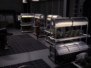 Filename=extant_StarTrek_VOY_6x23-Fury_00769.jpg
Filesize=183KiB
Dimensions=1200x900
Date added=Jan 03, 2020 extant_StarTrek_VOY_6x23-Fury_00769.jpg