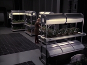 Filename=extant_StarTrek_VOY_6x23-Fury_00771.jpg
Filesize=186KiB
Dimensions=1200x900
Date added=Jan 03, 2020 extant_StarTrek_VOY_6x23-Fury_00771.jpg