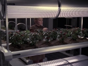 Filename=extant_StarTrek_VOY_6x23-Fury_00777.jpg
Filesize=270KiB
Dimensions=1200x900
Date added=Jan 03, 2020 extant_StarTrek_VOY_6x23-Fury_00777.jpg