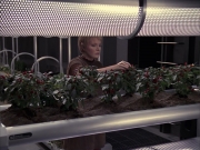 Filename=extant_StarTrek_VOY_6x23-Fury_00778.jpg
Filesize=286KiB
Dimensions=1200x900
Date added=Jan 03, 2020 extant_StarTrek_VOY_6x23-Fury_00778.jpg