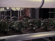 Filename=extant_StarTrek_VOY_6x23-Fury_00779.jpg
Filesize=281KiB
Dimensions=1200x900
Date added=Jan 03, 2020 extant_StarTrek_VOY_6x23-Fury_00779.jpg