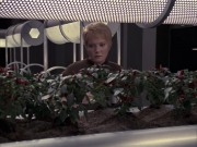 Filename=extant_StarTrek_VOY_6x23-Fury_00780.jpg
Filesize=263KiB
Dimensions=1200x900
Date added=Jan 03, 2020 extant_StarTrek_VOY_6x23-Fury_00780.jpg