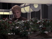 Filename=extant_StarTrek_VOY_6x23-Fury_00781.jpg
Filesize=221KiB
Dimensions=1200x900
Date added=Jan 03, 2020 extant_StarTrek_VOY_6x23-Fury_00781.jpg