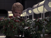 Filename=extant_StarTrek_VOY_6x23-Fury_00783.jpg
Filesize=187KiB
Dimensions=1200x900
Date added=Jan 03, 2020 extant_StarTrek_VOY_6x23-Fury_00783.jpg
