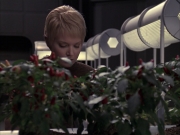 Filename=extant_StarTrek_VOY_6x23-Fury_00784.jpg
Filesize=184KiB
Dimensions=1200x900
Date added=Jan 03, 2020 extant_StarTrek_VOY_6x23-Fury_00784.jpg