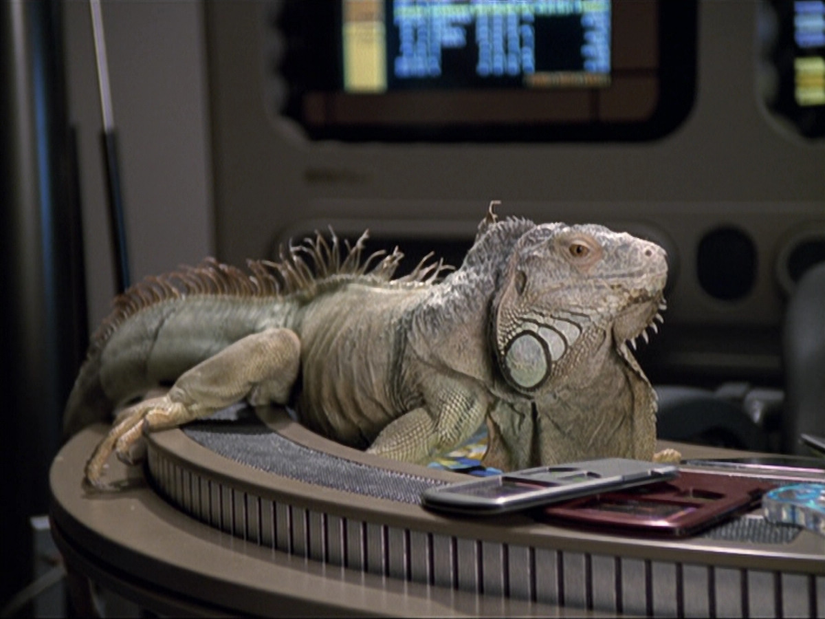 extant_StarTrek_VOY_6x24-LifeLine_01385.jpg