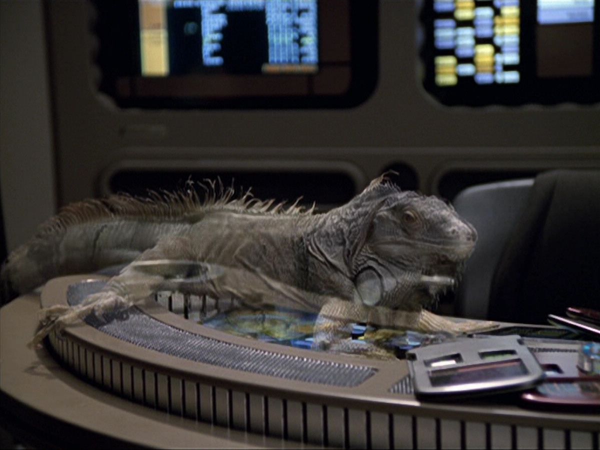 extant_StarTrek_VOY_6x24-LifeLine_01399.jpg