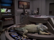 Filename=extant_StarTrek_VOY_6x24-LifeLine_00041.jpg
Filesize=188KiB
Dimensions=1200x900
Date added=Jan 03, 2020 extant_StarTrek_VOY_6x24-LifeLine_00041.jpg