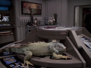Filename=extant_StarTrek_VOY_6x24-LifeLine_00042.jpg
Filesize=186KiB
Dimensions=1200x900
Date added=Jan 03, 2020 extant_StarTrek_VOY_6x24-LifeLine_00042.jpg
