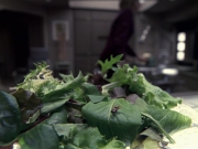 Filename=extant_StarTrek_VOY_6x24-LifeLine_01010.jpg
Filesize=193KiB
Dimensions=1200x900
Date added=Jan 03, 2020 extant_StarTrek_VOY_6x24-LifeLine_01010.jpg