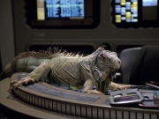 Filename=extant_StarTrek_VOY_6x24-LifeLine_01398.jpg
Filesize=214KiB
Dimensions=1200x900
Date added=Jan 03, 2020 extant_StarTrek_VOY_6x24-LifeLine_01398.jpg