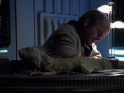 Filename=extant_StarTrek_VOY_6x24-LifeLine_02695.jpg
Filesize=173KiB
Dimensions=1200x900
Date added=Jan 03, 2020 extant_StarTrek_VOY_6x24-LifeLine_02695.jpg