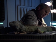 Filename=extant_StarTrek_VOY_6x24-LifeLine_02696.jpg
Filesize=175KiB
Dimensions=1200x900
Date added=Jan 03, 2020 extant_StarTrek_VOY_6x24-LifeLine_02696.jpg