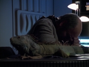Filename=extant_StarTrek_VOY_6x24-LifeLine_02702.jpg
Filesize=165KiB
Dimensions=1200x900
Date added=Jan 03, 2020 extant_StarTrek_VOY_6x24-LifeLine_02702.jpg
