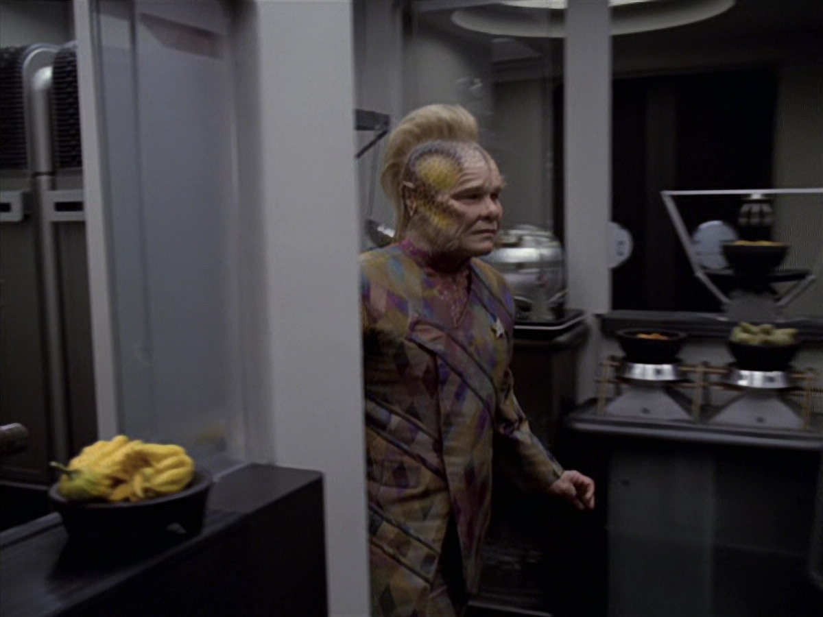extant_StarTrek_VOY_6x25-TheHauntingOfDeckTwelve_00016.jpg