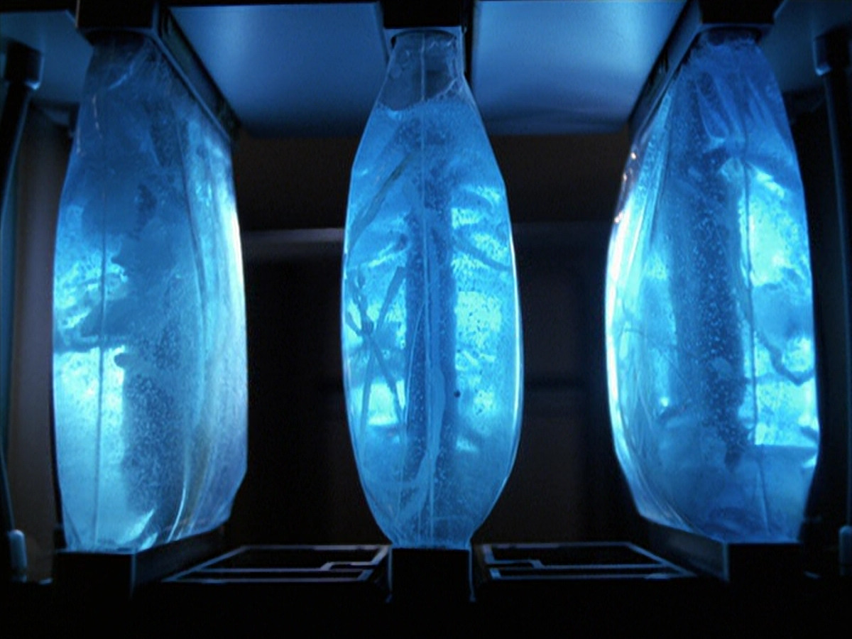 extant_StarTrek_VOY_6x25-TheHauntingOfDeckTwelve_01384.jpg