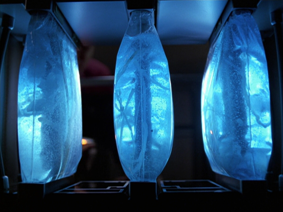 extant_StarTrek_VOY_6x25-TheHauntingOfDeckTwelve_01385.jpg