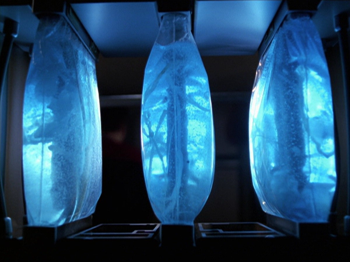 extant_StarTrek_VOY_6x25-TheHauntingOfDeckTwelve_01426.jpg