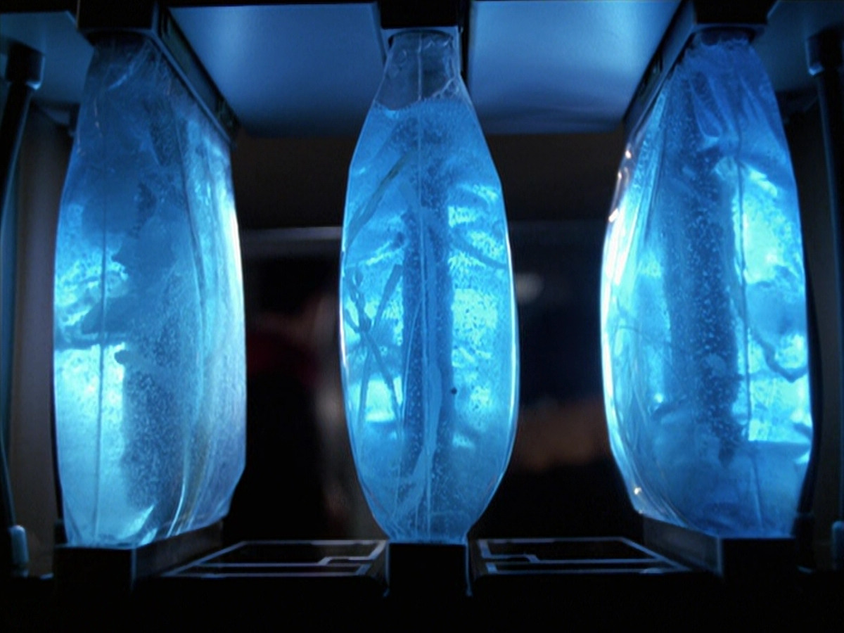 extant_StarTrek_VOY_6x25-TheHauntingOfDeckTwelve_01427.jpg