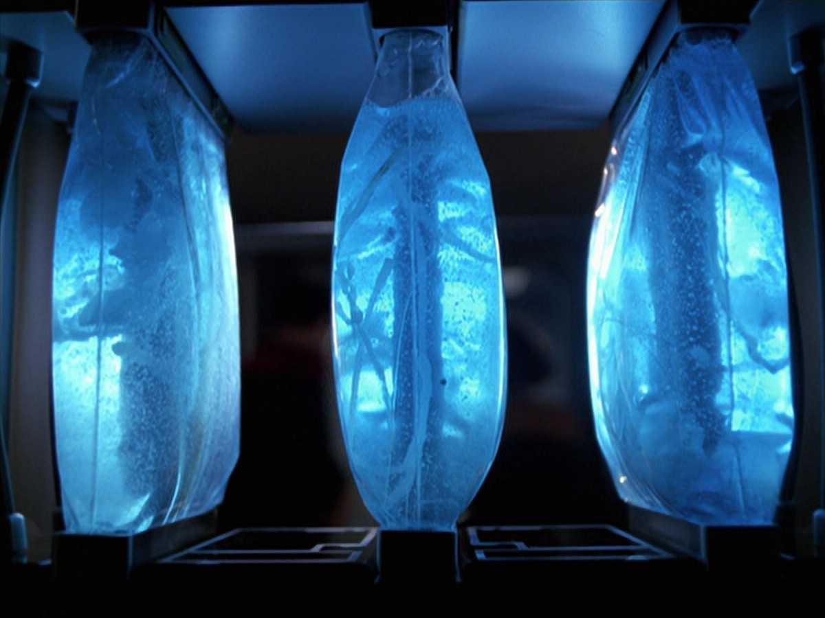 extant_StarTrek_VOY_6x25-TheHauntingOfDeckTwelve_01428.jpg