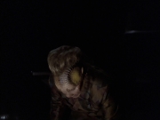 Filename=extant_StarTrek_VOY_6x25-TheHauntingOfDeckTwelve_00483.jpg
Filesize=96KiB
Dimensions=1200x900
Date added=Jan 03, 2020 extant_StarTrek_VOY_6x25-TheHauntingOfDeckTwelve_00483.jpg