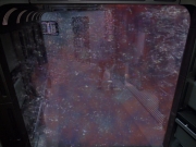 Filename=extant_StarTrek_VOY_6x25-TheHauntingOfDeckTwelve_01532.jpg
Filesize=230KiB
Dimensions=1200x900
Date added=Jan 03, 2020 extant_StarTrek_VOY_6x25-TheHauntingOfDeckTwelve_01532.jpg