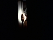 Filename=extant_StarTrek_VOY_6x25-TheHauntingOfDeckTwelve_02121.jpg
Filesize=69KiB
Dimensions=1200x900
Date added=Jan 03, 2020 extant_StarTrek_VOY_6x25-TheHauntingOfDeckTwelve_02121.jpg