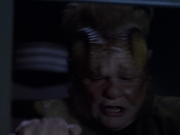 extant_StarTrek_VOY_6x25-TheHauntingOfDeckTwelve_02443.jpg