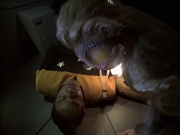 extant_StarTrek_VOY_6x25-TheHauntingOfDeckTwelve_03146.jpg