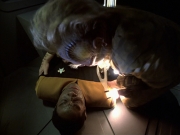 extant_StarTrek_VOY_6x25-TheHauntingOfDeckTwelve_03157.jpg