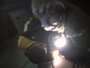 extant_StarTrek_VOY_6x25-TheHauntingOfDeckTwelve_03158.jpg