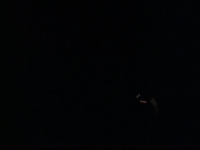 extant_StarTrek_VOY_6x25-TheHauntingOfDeckTwelve_03253.jpg