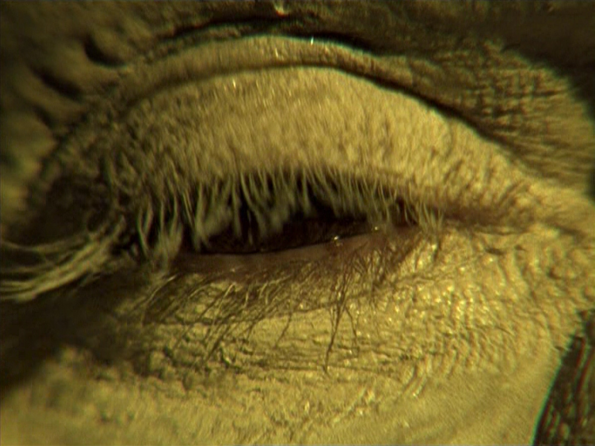 extant_StarTrek_VOY_6x26-UnimatrixZeroPart1_00055.jpg