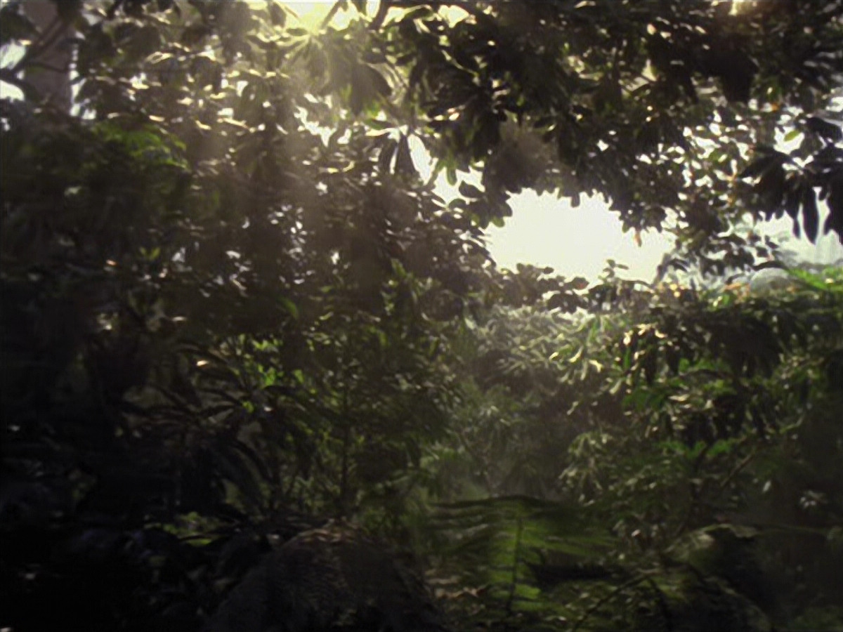 extant_StarTrek_VOY_6x26-UnimatrixZeroPart1_00418.jpg