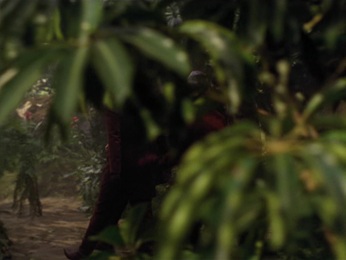 extant_StarTrek_VOY_6x26-UnimatrixZeroPart1_01763.jpg