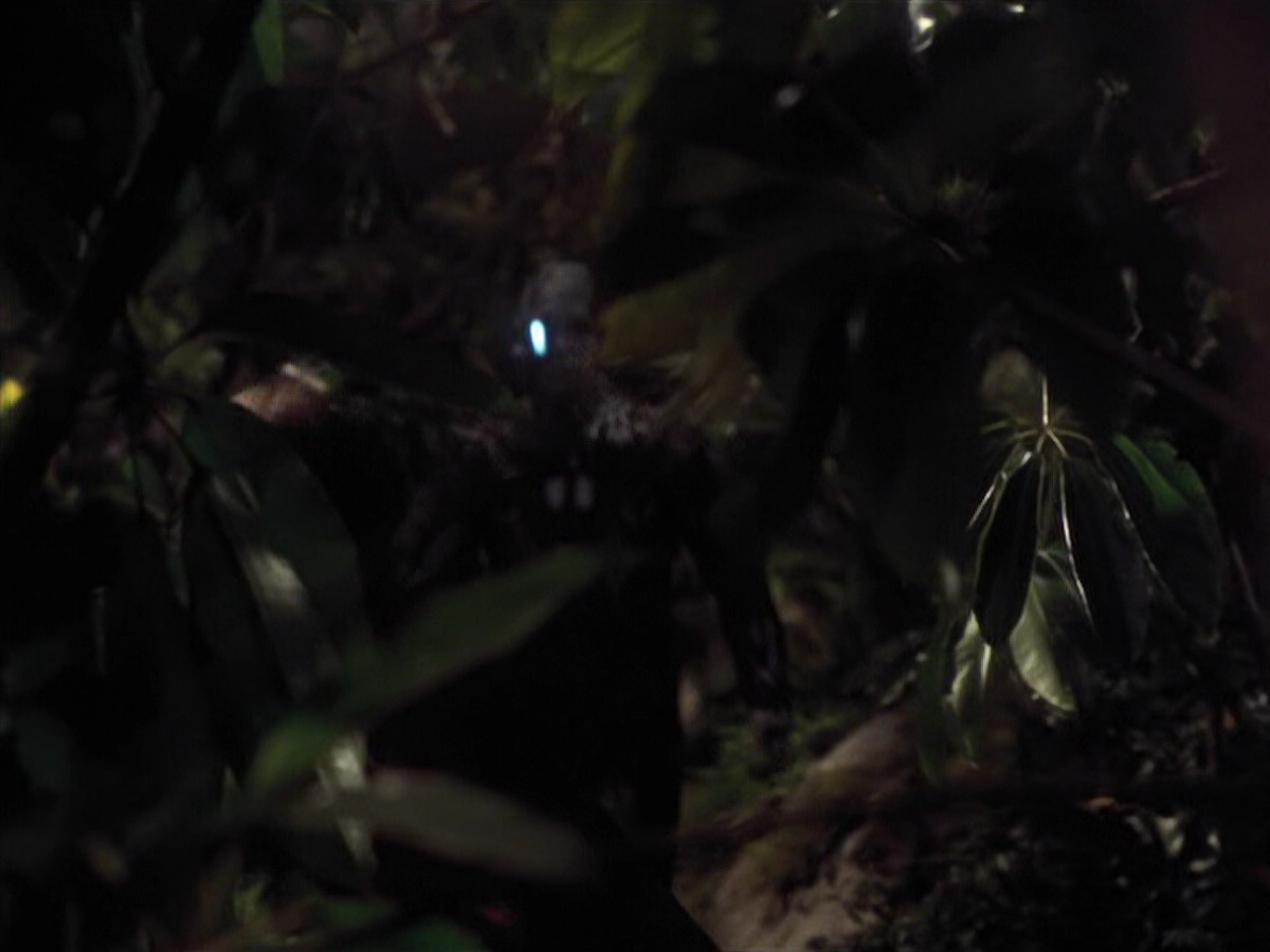 extant_StarTrek_VOY_6x26-UnimatrixZeroPart1_01959.jpg