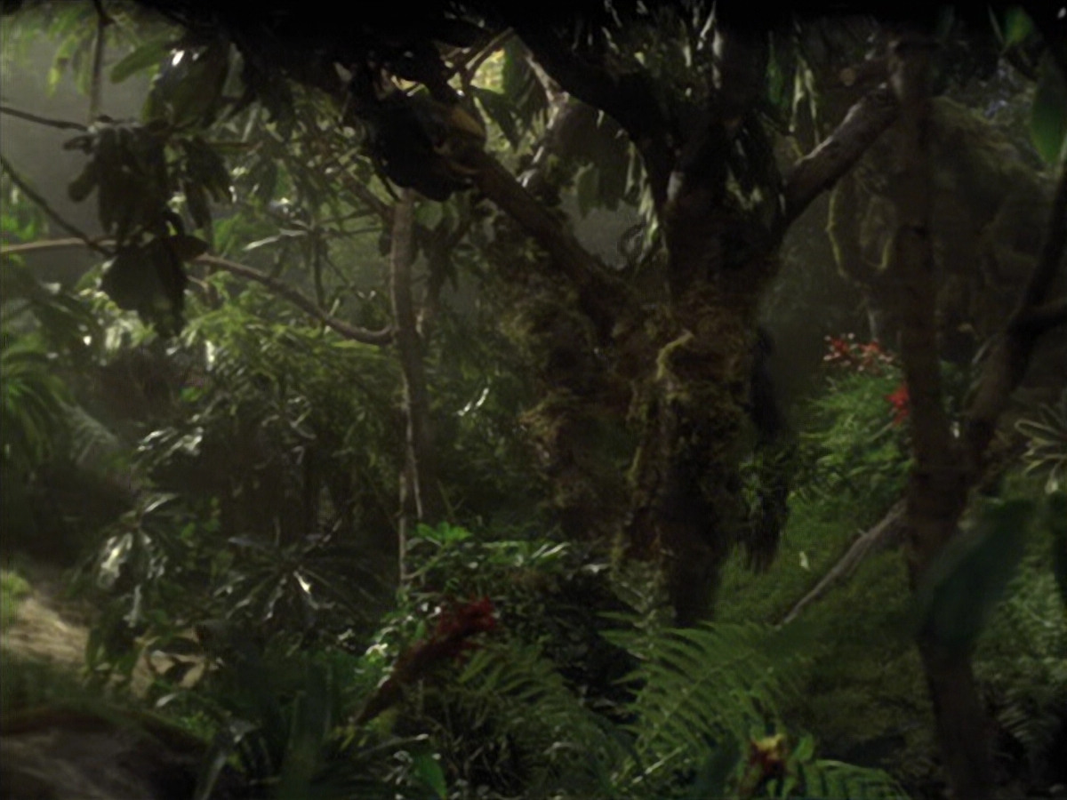 extant_StarTrek_VOY_6x26-UnimatrixZeroPart1_01969.jpg