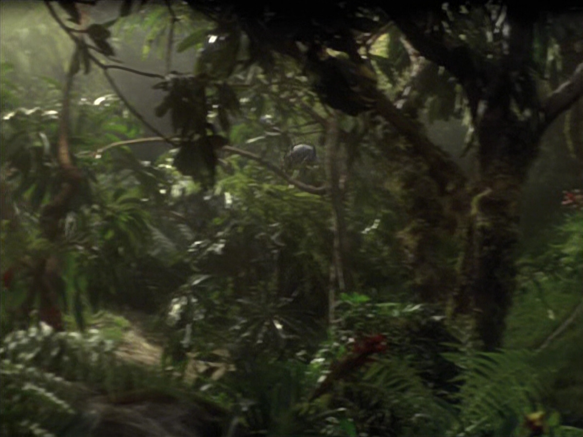 extant_StarTrek_VOY_6x26-UnimatrixZeroPart1_01970.jpg