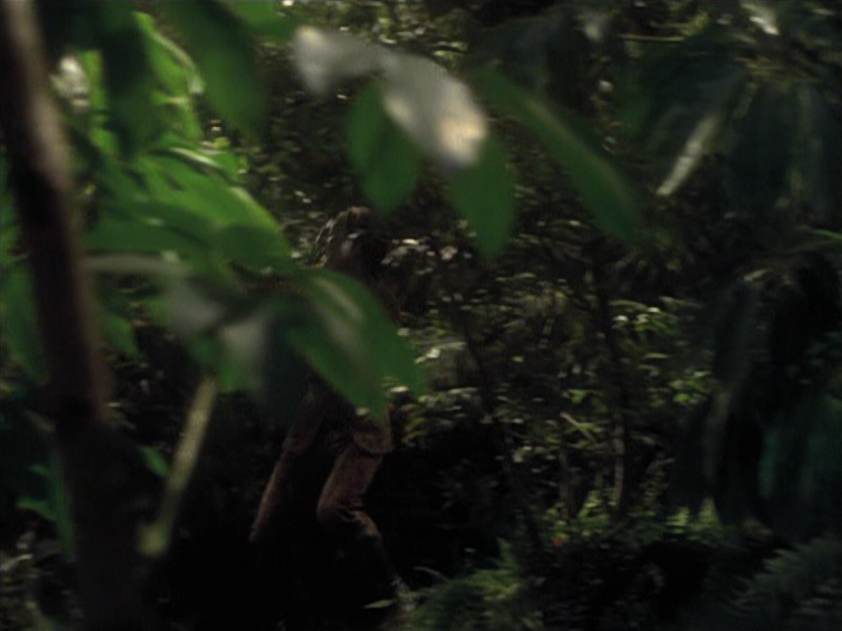 extant_StarTrek_VOY_6x26-UnimatrixZeroPart1_01971.jpg