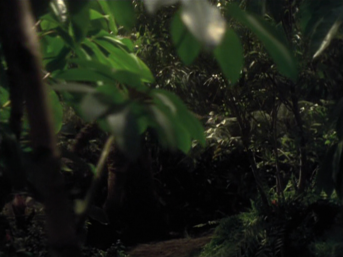extant_StarTrek_VOY_6x26-UnimatrixZeroPart1_01972.jpg