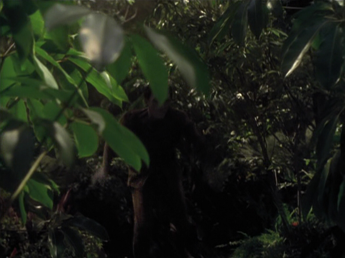 extant_StarTrek_VOY_6x26-UnimatrixZeroPart1_01973.jpg