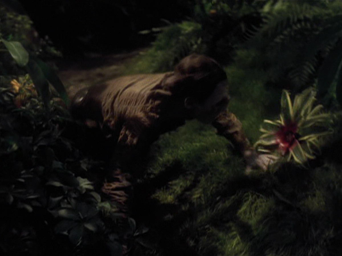 extant_StarTrek_VOY_6x26-UnimatrixZeroPart1_01975.jpg