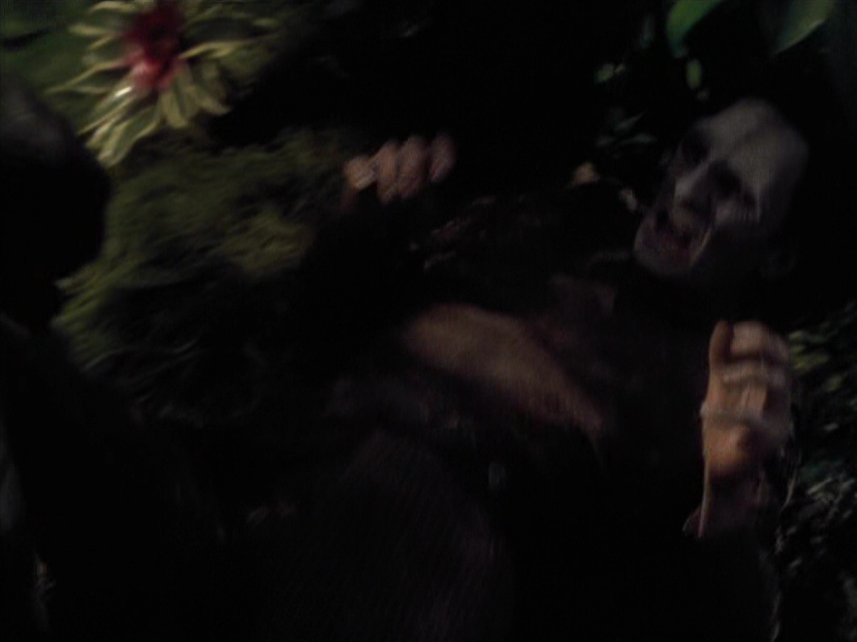 extant_StarTrek_VOY_6x26-UnimatrixZeroPart1_01988.jpg